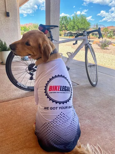 Financial planning for pet care in Florida